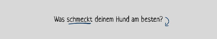 buffo filterspruch futter snacks 1020x184px TL buffo filterspruch futter snacks 1020x184px TL